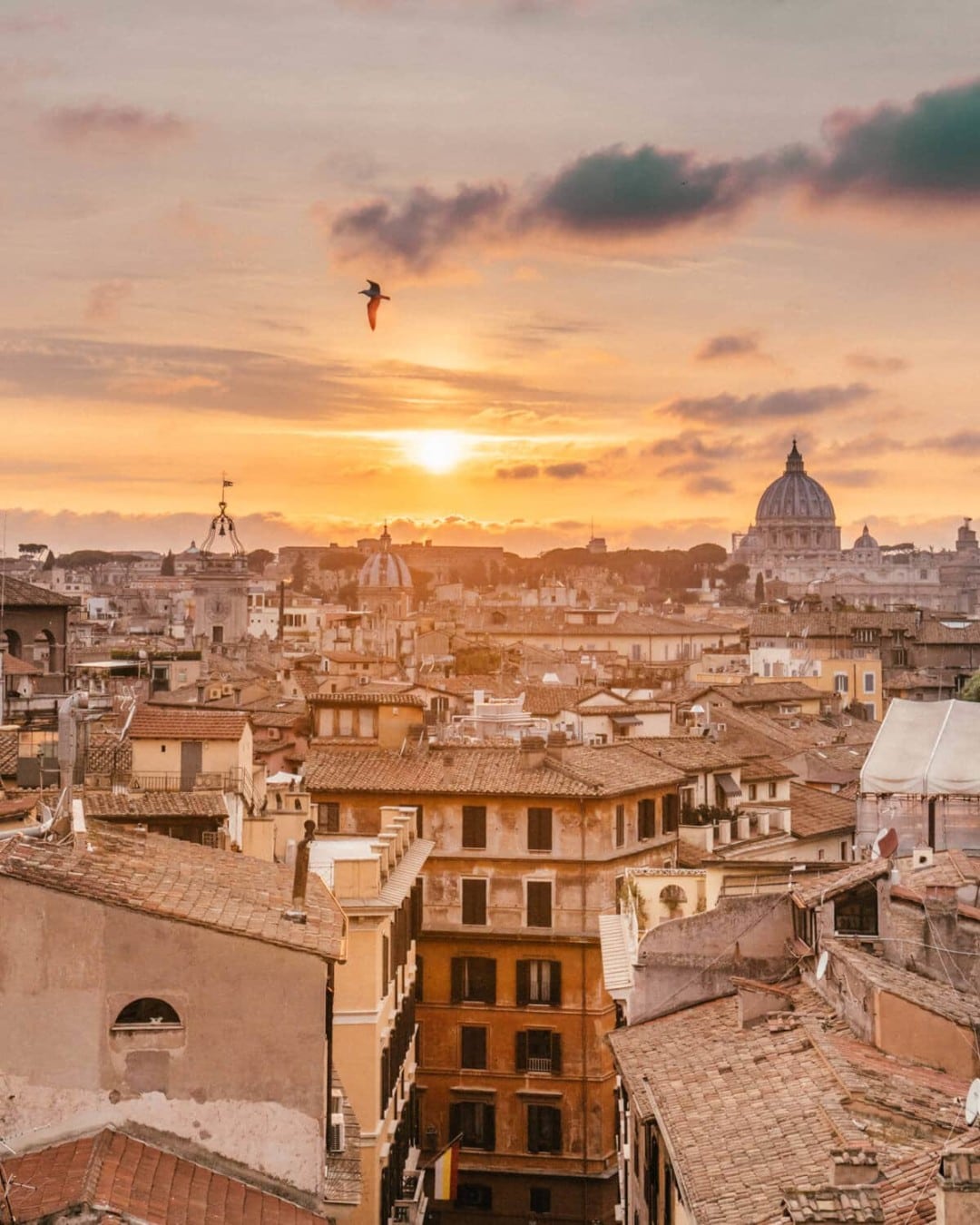 guided city tour rome review