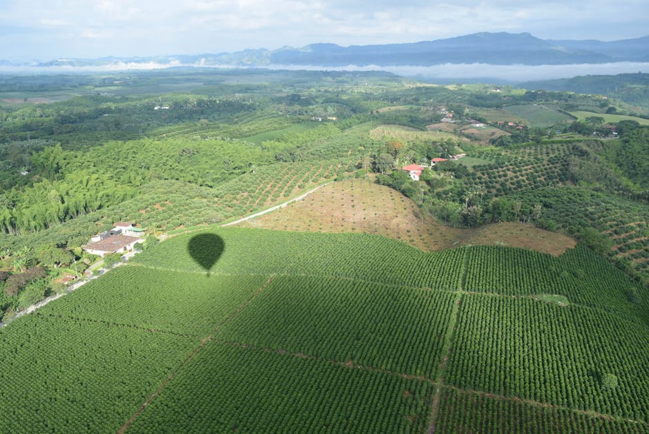 Panoramic view of Colombia's Coffee Cultural Landscape with rolling hills covered in coffee plantations
