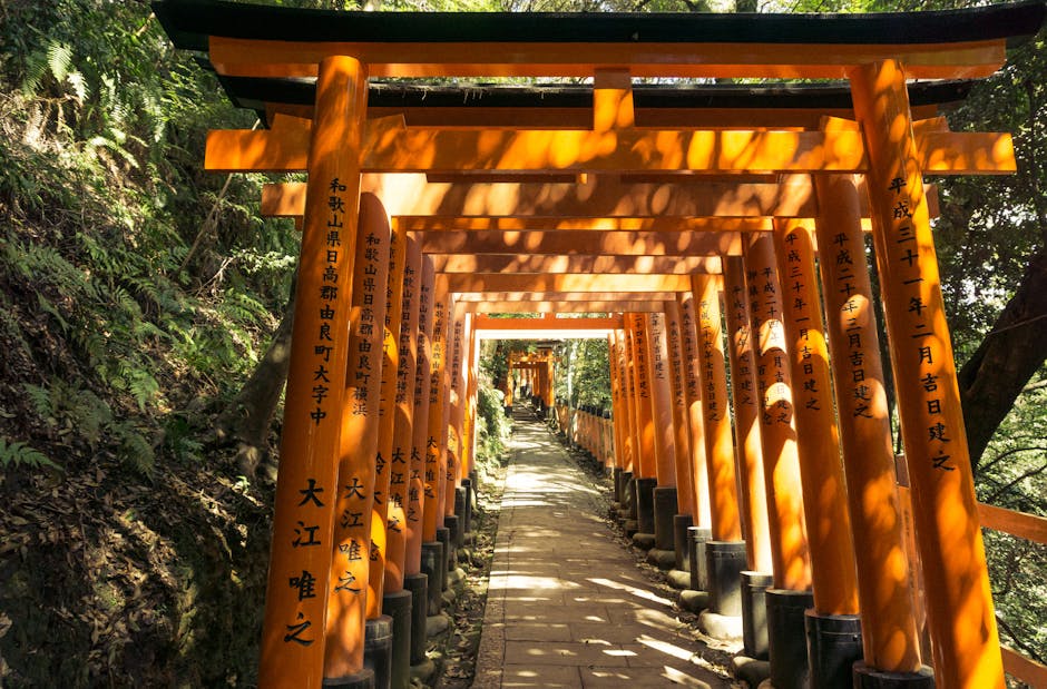 Path of red torii gates at Fushimi Inari-taisha shrine in Kyoto